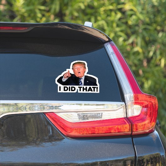 DAT HEB IK GEDAAN! STICKER (Auto Zijkant)
