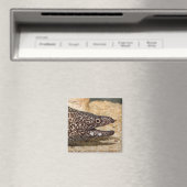 Dat is een Moray! Vierkante magneet (Insitu (Vaatwasser))