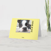 Dat is ÉÉN OF ANDER konijntje!  Lola B. Boston Feestdagen Kaart (Achterkant)