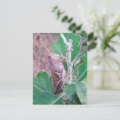 Dat is een sprinkhaan briefkaart (Staand voorkant)