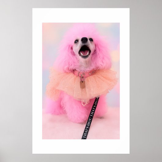 Dat is Heet Dat is Roze Retro Kawaii Poodle Poster (Voorkant)