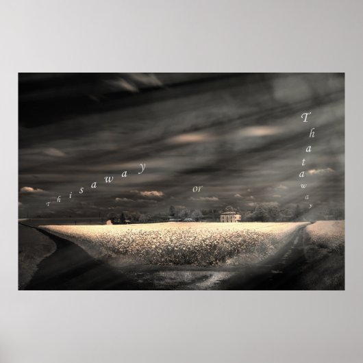 Dat is het leven poster (Voorkant)