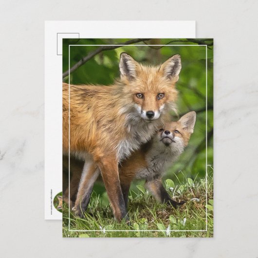 Dat is mijn vader briefkaart (Voorkant / Achterkant)