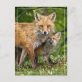 Dat is mijn vader briefkaart (Voorkant)