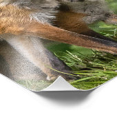 Dat is mijn vader foto afdruk (Hoek)