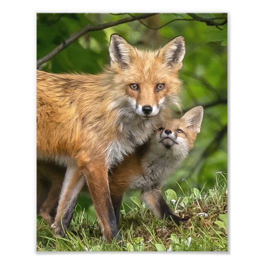 Dat is mijn vader foto afdruk (Voorkant)