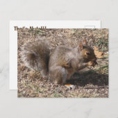 Dat is NUTS!!! Achtertuin eekhoorn in het najaar Briefkaart (Voorkant / Achterkant)