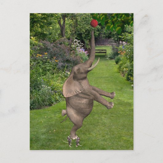 Dat is waar vrienden voor zijn briefkaart (Voorkant)