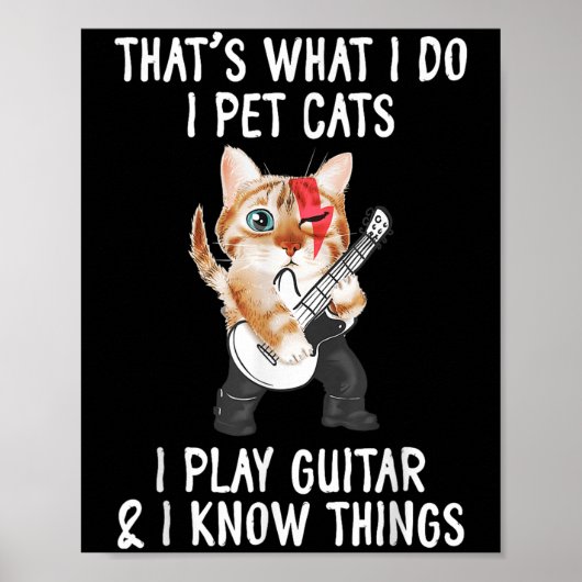 Dat is wat ik doe, ik aai katten, ik speel gitaar poster (Voorkant)