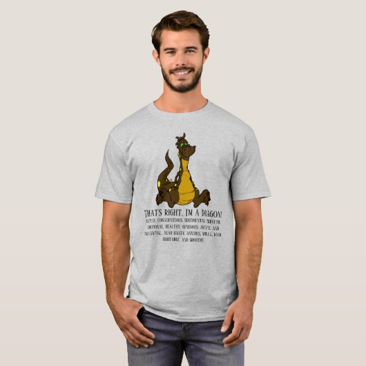 Dat klopt, ik ben een draak T-Shirt (Voorkant volledig)