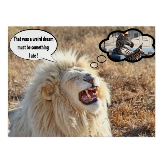 Dat was een rare droom perfect poster (Voorkant)