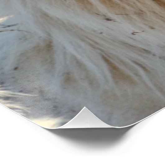 Dat was een rare droom perfect poster (Hoek)