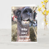 DAT ZIJN SOMMIGE TEETH!! HAPPY BIRTHDAY KAART (Gele Bloem)