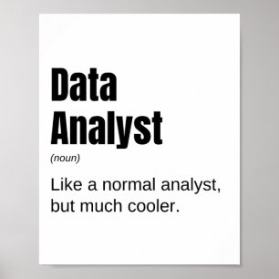 Data Analyst Funny Data Enthusiast Gezegde Poster