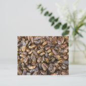 Data Briefkaart (Staand voorkant)