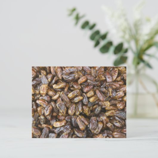 Data Briefkaart (Staand voorkant)