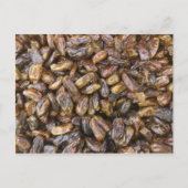 Data Briefkaart (Voorkant)