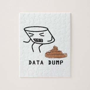 Data Dump Legpuzzel