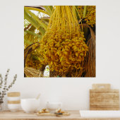 Data op het Poster palmbomen (Keuken)