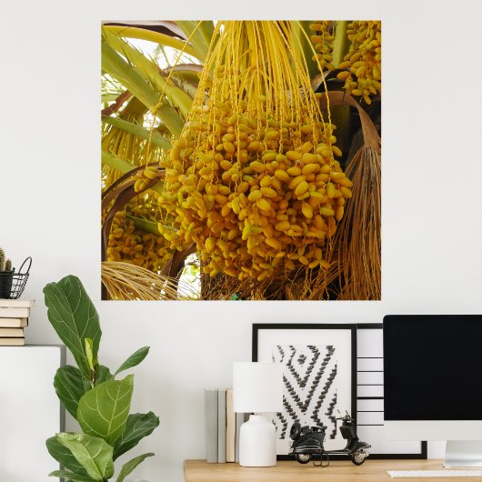 Data op het Poster palmbomen (Thuiskantoor)