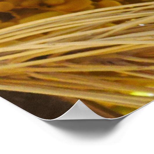 Data op het Poster palmbomen (Hoek)