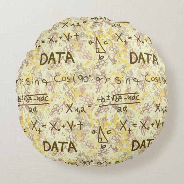 Data Science Wiskunde en Codeerpatroon Ronde Worpk Rond Kussen (Voorkant)