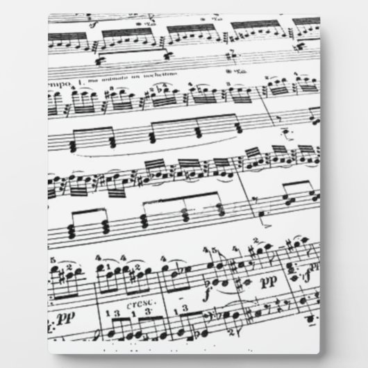 Datablad Muziek Fotoplaat (Voorkant)