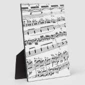 Datablad Muziek Fotoplaat (Zijkant)