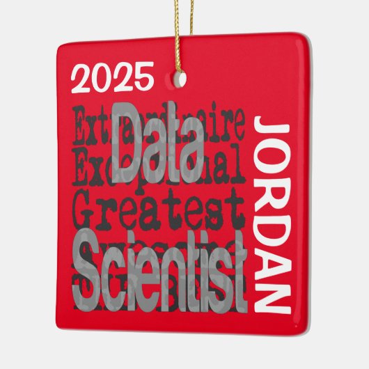 Datawetenschapper Extraordinaire Aangepast Keramisch Ornament (Links)