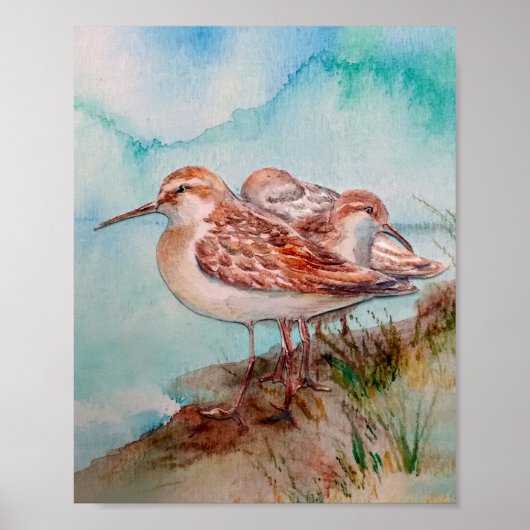 Dated, Waterverf Sandpiper Shore Beach Bird Art Poster (Voorkant)