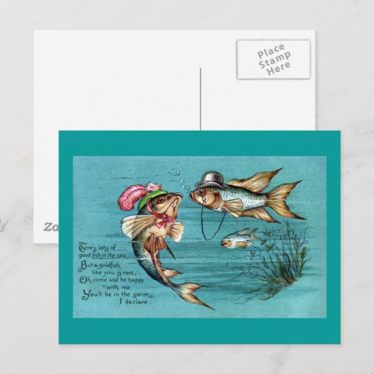 Datende vis met Petten Vintage Briefkaart (Voorkant / Achterkant)