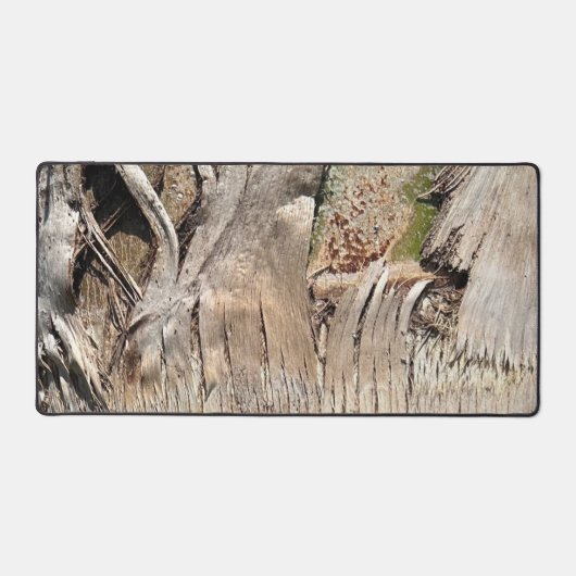 Datum Palm Tree Trunk Texture Close-up Foto Afbeel Bureaumat (Voorkant)