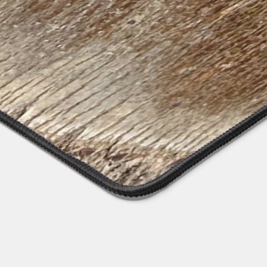 Datum Palm Tree Trunk Texture Close-up Foto Afbeel Bureaumat (Hoek)