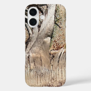 Datum Palm Tree Trunk Texture Close-up Foto Afbeel iPhone 16 Hoesje