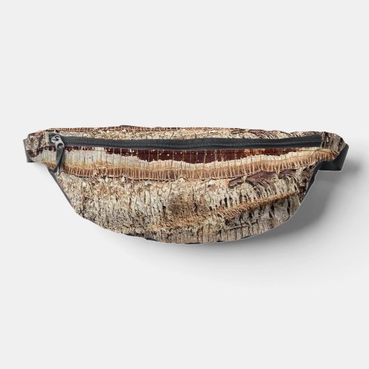 Datum Palm Tree Trunk Texture Close-up Foto Afbeel Heuptasje (Liggend)