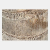 Datum Palm Tree Trunk Texture Close-up Foto Afbeel Inpakpapier Vel (Voorkant)