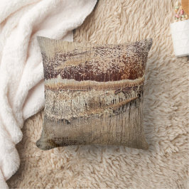 Datum Palm Tree Trunk Texture Close-up Foto Afbeel Kussen