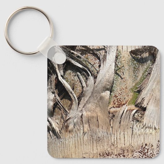 Datum Palm Tree Trunk Texture Close-up Foto Afbeel Sleutelhanger (Voorkant)