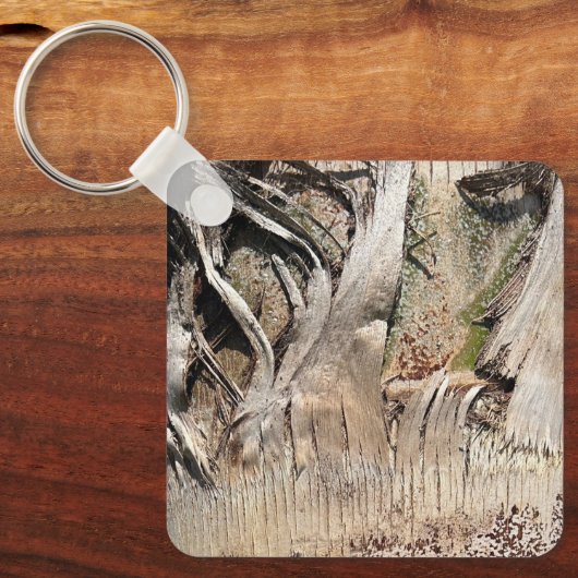 Datum Palm Tree Trunk Texture Close-up Foto Afbeel Sleutelhanger (Voorkant)