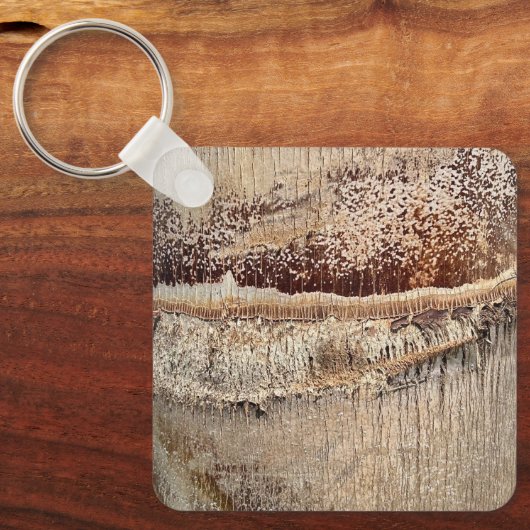 Datum Palm Tree Trunk Texture Close-up Foto Afbeel Sleutelhanger (Voorkant)