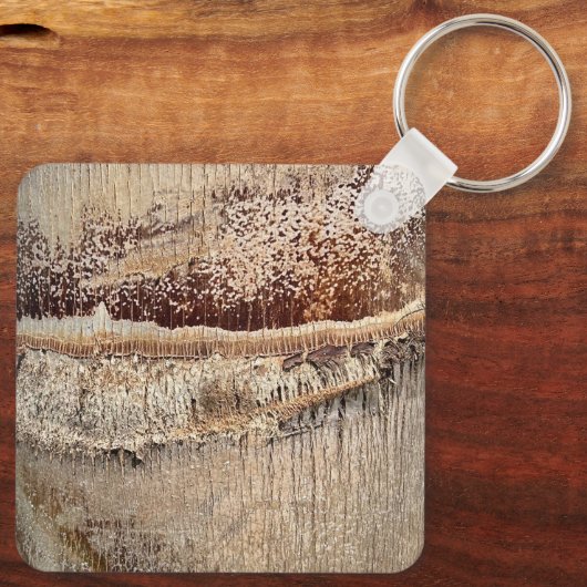 Datum Palm Tree Trunk Texture Close-up Foto Afbeel Sleutelhanger (Achterkant)