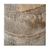 Datum Palm Tree Trunk Texture Close-up Foto Afbeel Tegeltje (Voorkant)