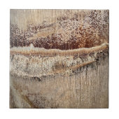 Datum Palm Tree Trunk Texture Close-up Foto Afbeel Tegeltje (Voorkant)