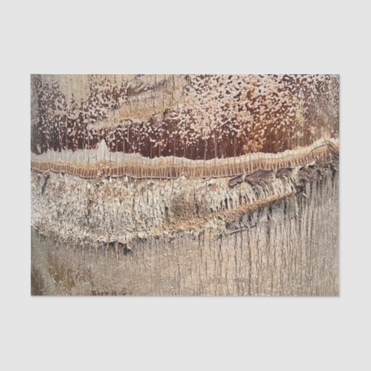 Datum Palm Tree Trunk Texture Close-up Foto Afbeel Tissuepapier (Voorkant)