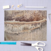 Datum Palm Tree Trunk Texture Close-up Foto Afbeel Tissuepapier (Craft)