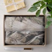 Datum Palm Tree Trunk Texture Close-up Foto Afbeel Tissuepapier (Geschenk)