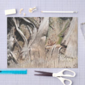 Datum Palm Tree Trunk Texture Close-up Foto Afbeel Tissuepapier (Craft)