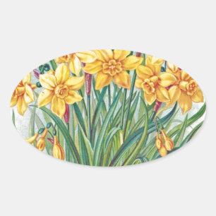datum RSVP bloemen narcis geel vintage Ovale Sticker