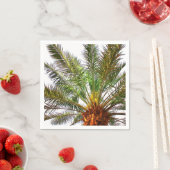 Datumstructuur Servet (Insitu)