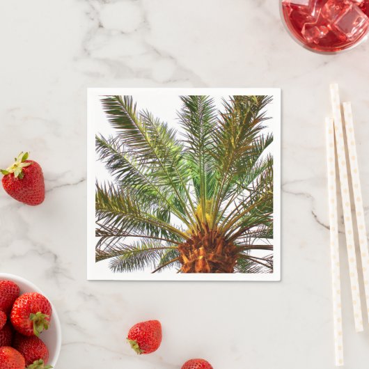 Datumstructuur Servet (Insitu)